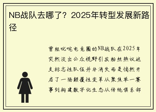 NB战队去哪了？2025年转型发展新路径
